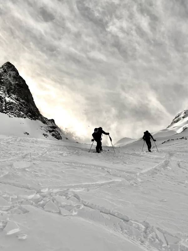 Photo from 2025-01-26