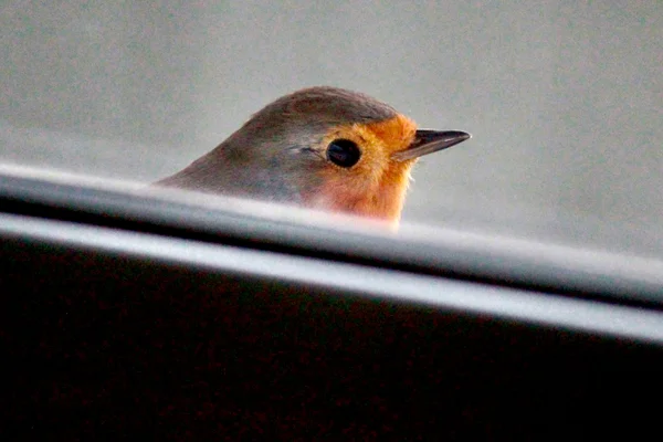 Photo from 2024-11-01