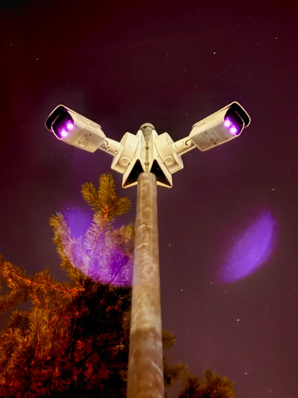 Photo from 2025-12-11