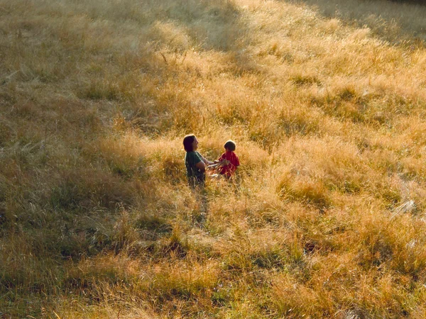 Photo from 2023-07-22