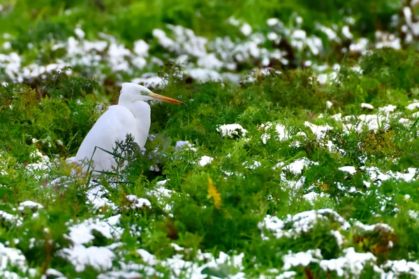 Photo from 2025-11-21