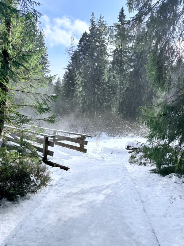 Photo from 2026-02-01