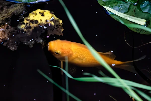 Photo from 2025-10-05