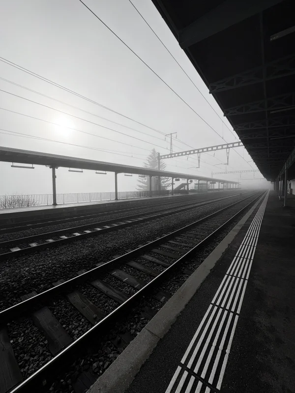 Photo from 2025-12-14