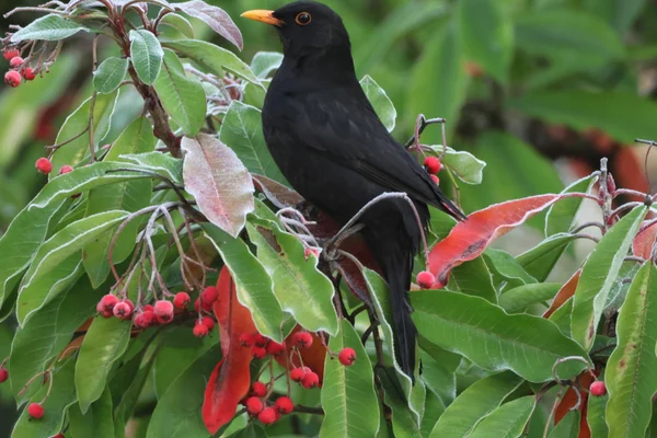 Photo from 2025-11-19