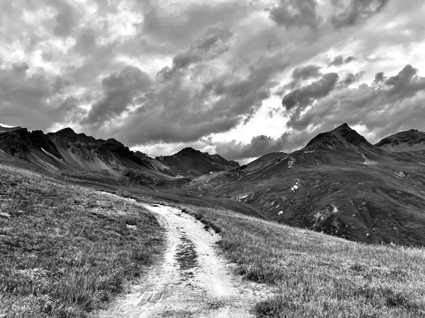 Photo from 2024-08-01