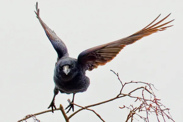 Photo from 2026-01-09