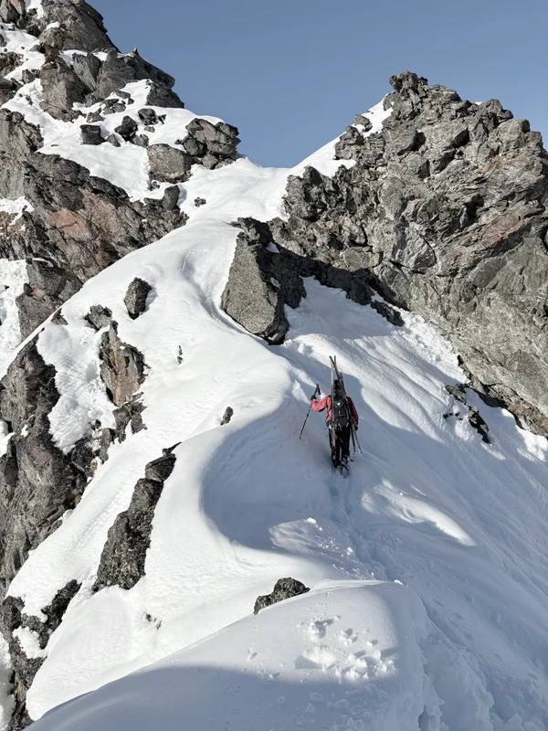 Photo from 2025-04-19