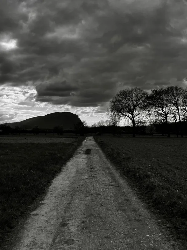 Photo from 2026-03-29