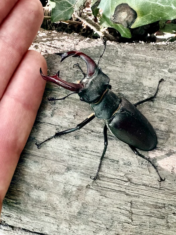 Photo from 2025-06-09