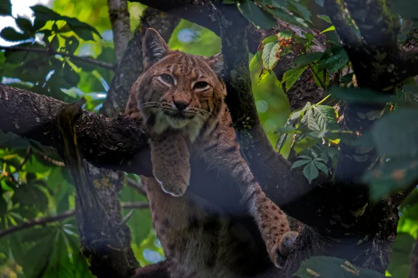 Photo from 2025-07-19