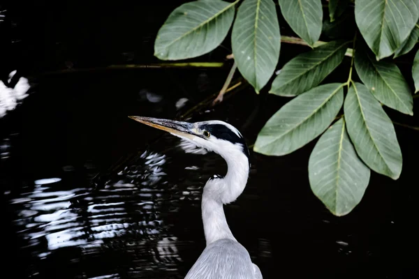 Photo from 2025-07-13