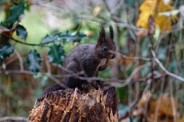 Photo from 2025-12-04