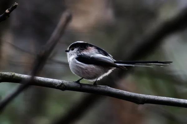 Photo from 2025-11-22