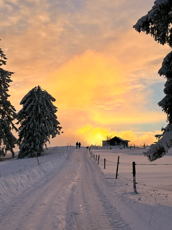 Photo from 2024-12-24