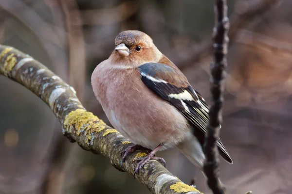 Photo from 2025-12-17