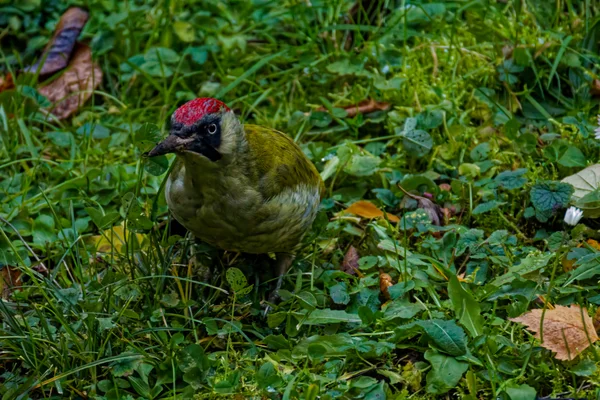 Photo from 2025-11-22