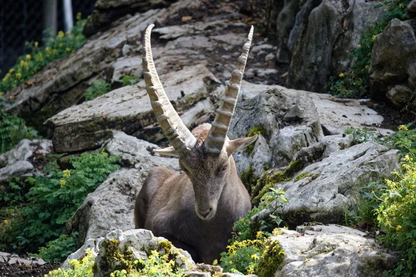 Photo from 2025-07-19