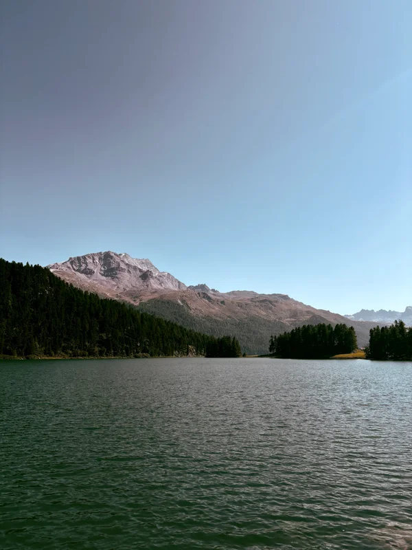 Photo from 2025-08-09