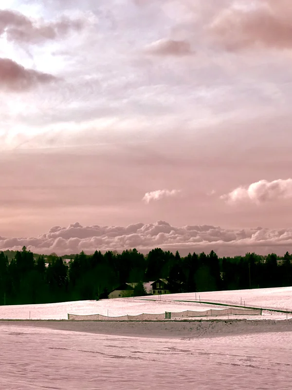 Photo from 2026-01-31