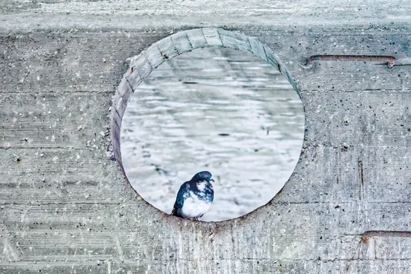 Photo from 2025-12-05