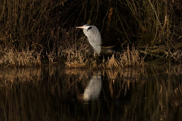 Photo from 2026-01-26