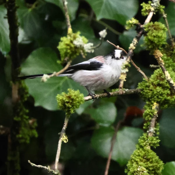 Photo from 2025-11-17