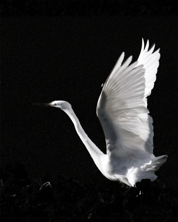 Photo from 2026-01-11