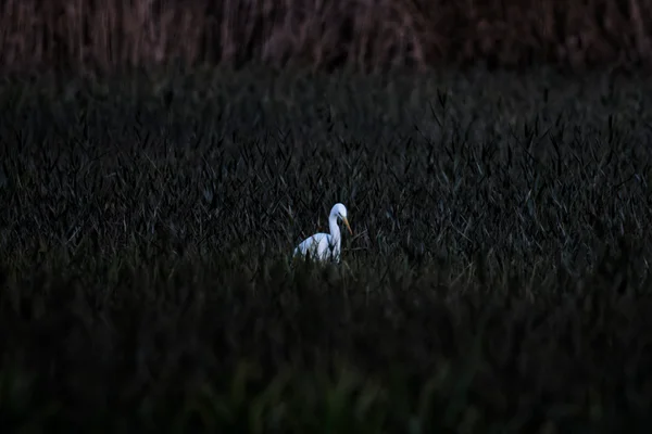 Photo from 2025-11-27