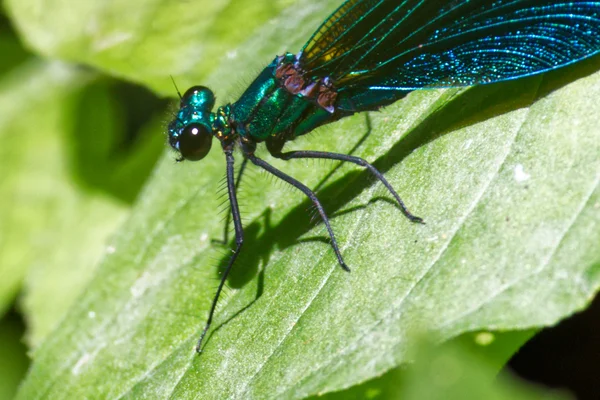 Photo from 2025-07-13