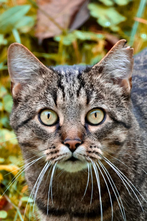 Photo from 2025-11-17