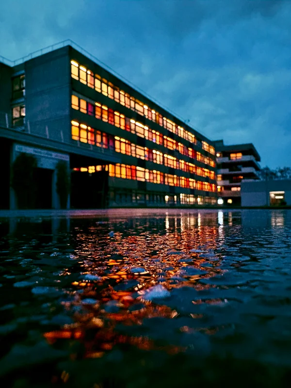 Photo from 2026-02-19