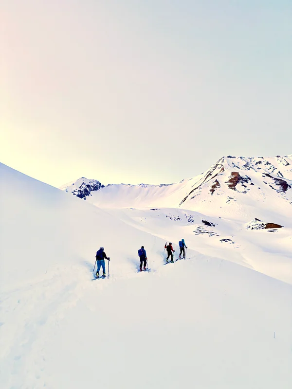 Photo from 2025-02-16