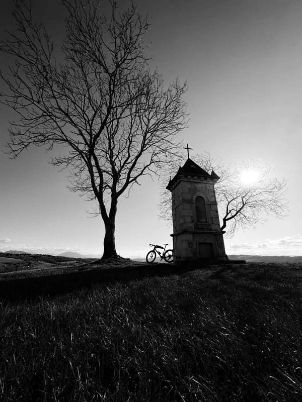 Photo from 2026-04-01