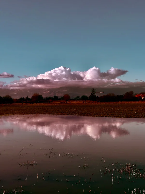 Photo from 2026-01-29