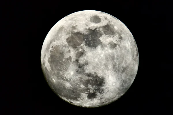 Photo from 2026-03-02