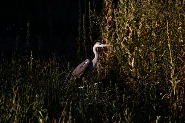 Photo from 2025-07-17