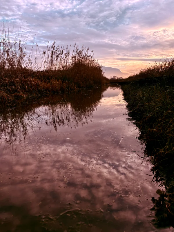 Photo from 2026-01-22