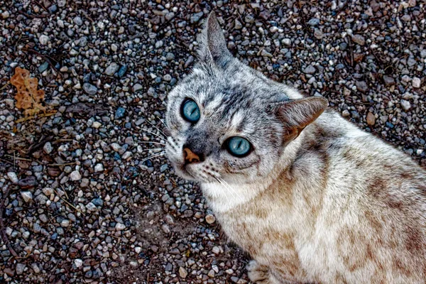 Photo from 2025-09-30